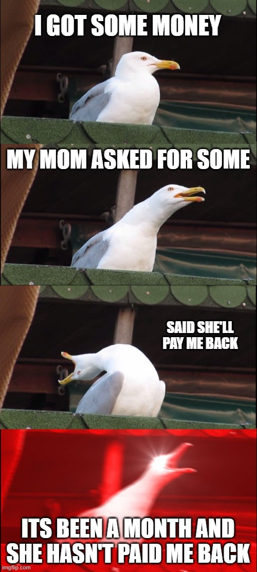 WAAAAAAAAAAAAAAAAAAAAAAAAAAAAAAAAAAAAA | I GOT SOME MONEY; MY MOM ASKED FOR SOME; SAID SHE'LL PAY ME BACK; ITS BEEN A MONTH AND SHE HASN'T PAID ME BACK | image tagged in memes,inhaling seagull | made w/ Imgflip meme maker