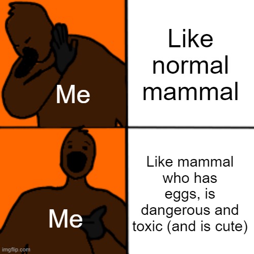 Platypus is so cute | Like normal mammal; Me; Like mammal who has eggs, is dangerous and toxic (and is cute); Me | image tagged in platypus,cute | made w/ Imgflip meme maker