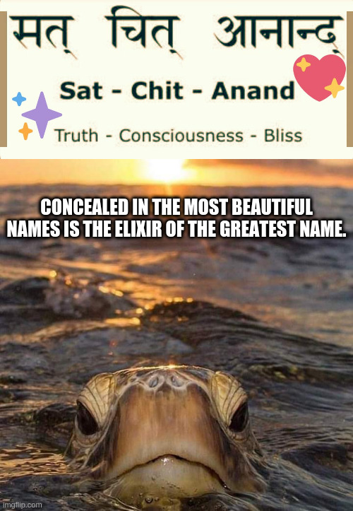 Turtle Wisdom | CONCEALED IN THE MOST BEAUTIFUL NAMES IS THE ELIXIR OF THE GREATEST NAME. | image tagged in sacrednames,satchitananda,truth,conciousness,bliss | made w/ Imgflip meme maker