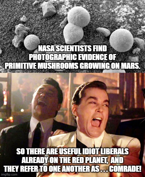 It's never too early to conquer a planet for the worker's paradise: | NASA SCIENTISTS FIND PHOTOGRAPHIC EVIDENCE OF PRIMITIVE MUSHROOMS GROWING ON MARS. SO THERE ARE USEFUL IDIOT LIBERALS ALREADY ON THE RED PLANET,  AND THEY REFER TO ONE ANOTHER AS . . . COMRADE! | image tagged in memes,good fellas hilarious | made w/ Imgflip meme maker