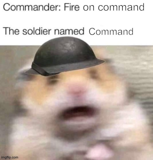 on command Command | made w/ Imgflip meme maker