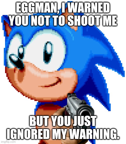 sonic with a gun | EGGMAN, I WARNED YOU NOT TO SHOOT ME; BUT YOU JUST IGNORED MY WARNING. | image tagged in sonic with a gun | made w/ Imgflip meme maker