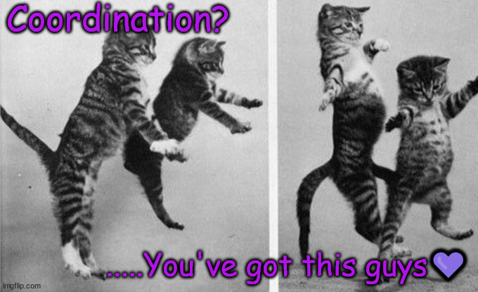 Coordination | Coordination? .....You've got this guys💜 | image tagged in dance,fun,cat dancing | made w/ Imgflip meme maker
