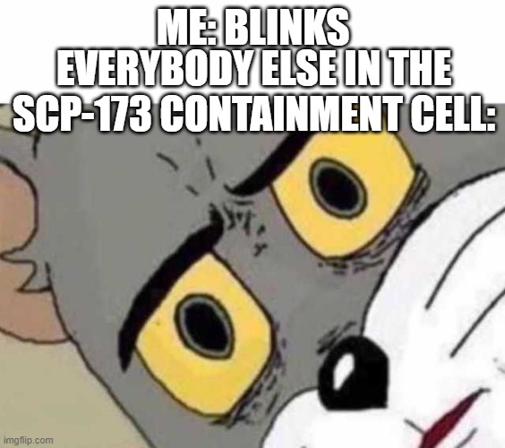 e | ME: BLINKS; EVERYBODY ELSE IN THE SCP-173 CONTAINMENT CELL: | image tagged in tom cat unsettled close up | made w/ Imgflip meme maker