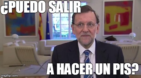 Â¿PUEDO SALIR A HACER UN PIS? | image tagged in gaticos | made w/ Imgflip meme maker