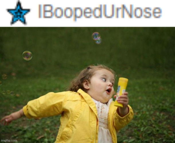 image tagged in nose,boop,oh wow are you actually reading these tags | made w/ Imgflip meme maker