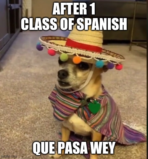 Mexican memes | AFTER 1 CLASS OF SPANISH; QUE PASA WEY | image tagged in viral meme,viral,funny meme,relatable | made w/ Imgflip meme maker