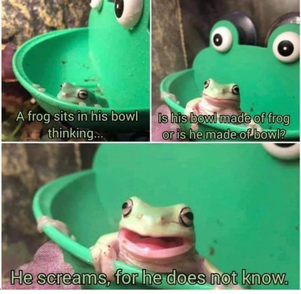High Quality The Frog In the Frog Bowl Blank Meme Template