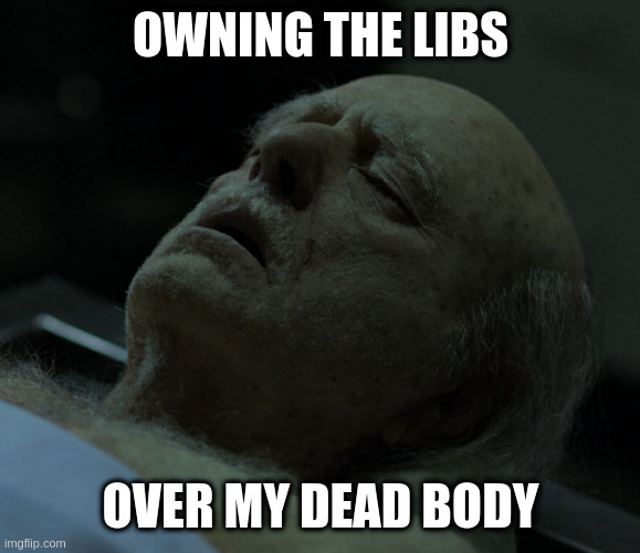 Dead | OWNING THE LIBS OVER MY DEAD BODY | image tagged in dead | made w/ Imgflip meme maker