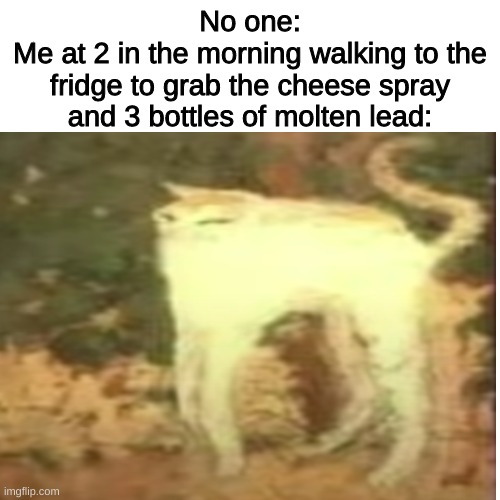No one:
Me at 2 in the morning walking to the fridge to grab the cheese spray and 3 bottles of molten lead: | image tagged in cheese,spray,fridge,funny memes,iq | made w/ Imgflip meme maker
