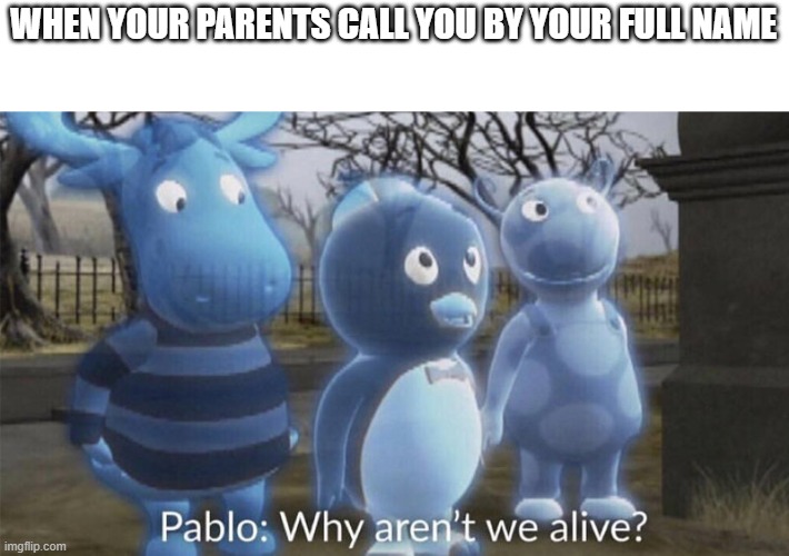 Pablo why aren't we alive? | WHEN YOUR PARENTS CALL YOU BY YOUR FULL NAME | image tagged in pablo why aren't we alive | made w/ Imgflip meme maker