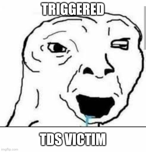 TRIGGERED TDS VICTIM | made w/ Imgflip meme maker