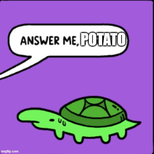 answer me, turtle | POTATO | image tagged in answer me turtle | made w/ Imgflip meme maker