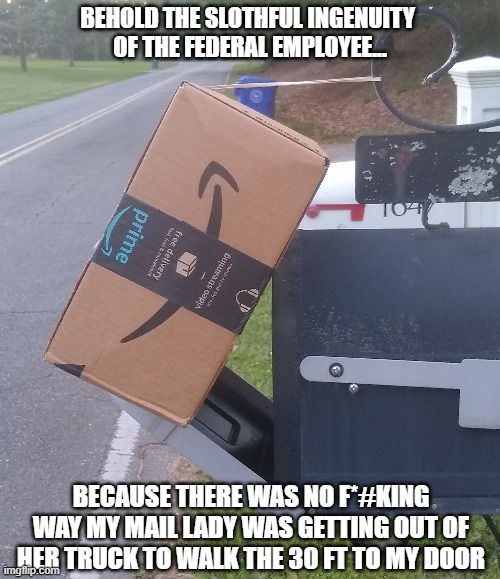 I hate my mail lady sooo mumch | BEHOLD THE SLOTHFUL INGENUITY 
OF THE FEDERAL EMPLOYEE... BECAUSE THERE WAS NO F*#KING WAY MY MAIL LADY WAS GETTING OUT OF HER TRUCK TO WALK THE 30 FT TO MY DOOR | image tagged in post office,lazy,special kind of stupid | made w/ Imgflip meme maker