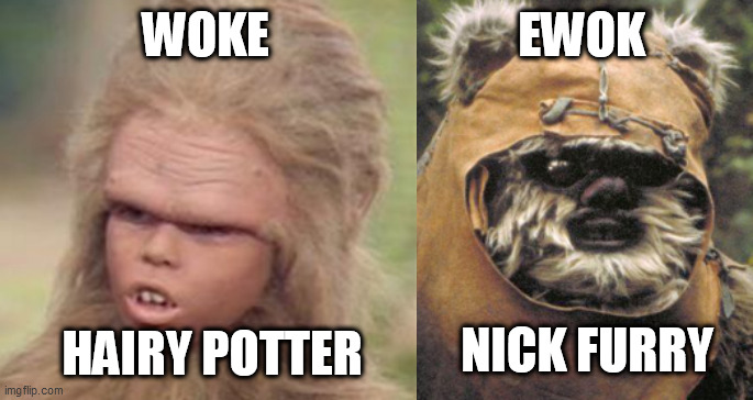 Either Time Forgot or a Long Time Ago | WOKE; EWOK; HAIRY POTTER; NICK FURRY | image tagged in chaka,wicket,land of the lost,star wars,woke ewok | made w/ Imgflip meme maker