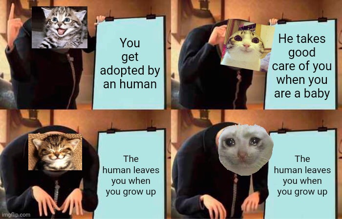 Please take care of your cats | You get adopted by an human; He takes good care of you when you are a baby; The human leaves you when you grow up; The human leaves you when you grow up | image tagged in memes,gru's plan | made w/ Imgflip meme maker