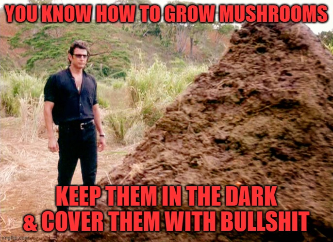 Memes, Poop, Jurassic Park | YOU KNOW HOW TO GROW MUSHROOMS KEEP THEM IN THE DARK & COVER THEM WITH BULLSHIT | image tagged in memes poop jurassic park | made w/ Imgflip meme maker