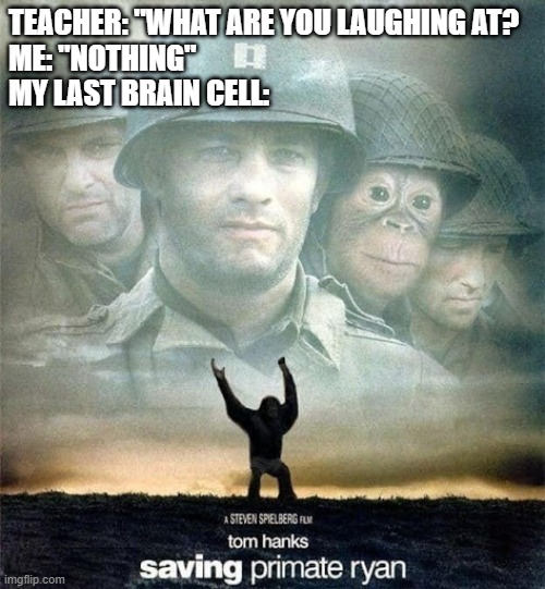 Saving Primate Ryan | TEACHER: "WHAT ARE YOU LAUGHING AT? 
ME: "NOTHING"
MY LAST BRAIN CELL: | image tagged in saving private ryan,chimpanzee,why are you reading this | made w/ Imgflip meme maker
