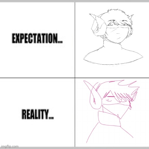 Expectation vs Reality | image tagged in expectation vs reality,drawing,drawings,draw | made w/ Imgflip meme maker