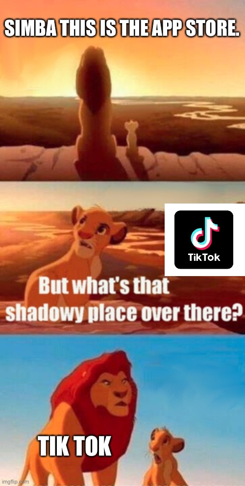 Simba Shadowy Place | SIMBA THIS IS THE APP STORE. TIK TOK | image tagged in memes,simba shadowy place | made w/ Imgflip meme maker