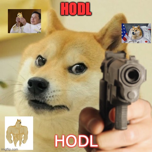 Stop selling your dogecoin | HODL; HODL | image tagged in stop selling your dogecoin | made w/ Imgflip meme maker
