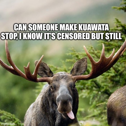 Moose | CAN SOMEONE MAKE KUAWATA STOP, I KNOW IT’S CENSORED BUT STILL | image tagged in moose | made w/ Imgflip meme maker
