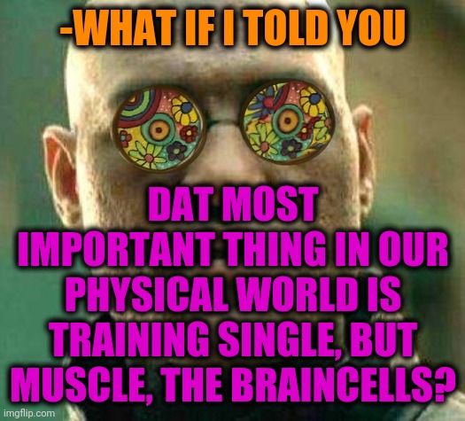 -Grey substance. | DAT MOST IMPORTANT THING IN OUR PHYSICAL WORLD IS TRAINING SINGLE, BUT MUSCLE, THE BRAINCELLS? -WHAT IF I TOLD YOU | image tagged in acid kicks in morpheus,sadly i am only an eel,sad but true,scumbag brain,single life,important videos | made w/ Imgflip meme maker