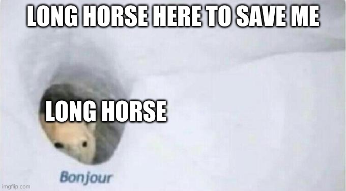 Bonjour Bear | LONG HORSE HERE TO SAVE ME LONG HORSE | image tagged in bonjour bear | made w/ Imgflip meme maker