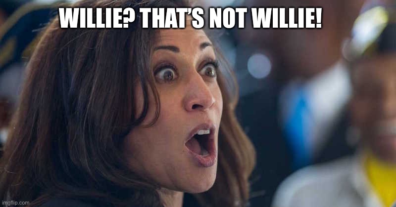 kamala harriss | WILLIE? THAT’S NOT WILLIE! | image tagged in kamala harriss | made w/ Imgflip meme maker