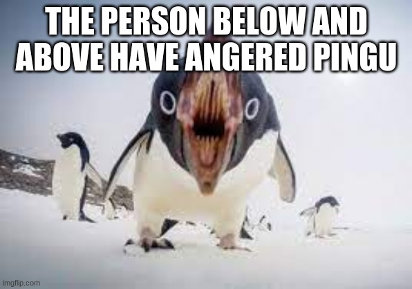 You have angered pingu | THE PERSON BELOW AND ABOVE HAVE ANGERED PINGU | image tagged in you have angered pingu | made w/ Imgflip meme maker