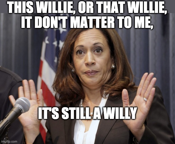 THIS WILLIE, OR THAT WILLIE,
IT DON'T MATTER TO ME, IT'S STILL A WILLY | made w/ Imgflip meme maker