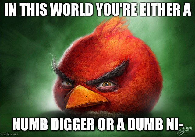 Numb Digger | IN THIS WORLD YOU'RE EITHER A; NUMB DIGGER OR A DUMB NI- | image tagged in anime | made w/ Imgflip meme maker