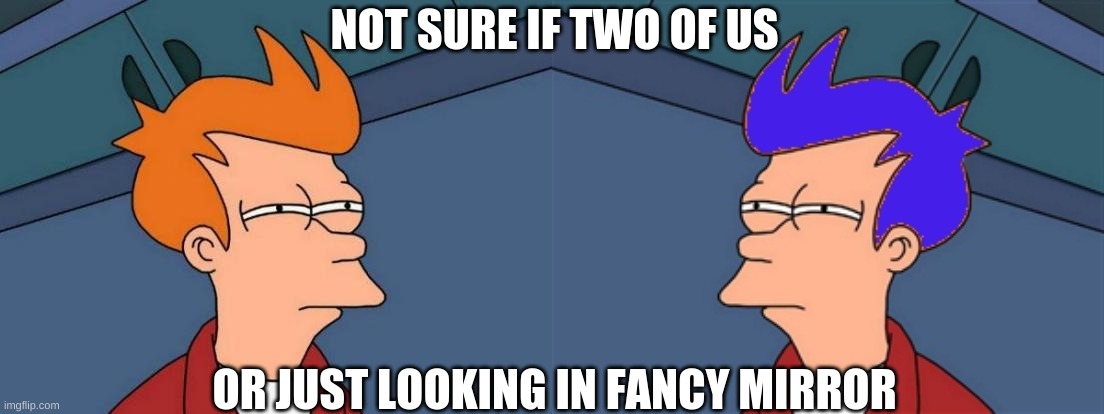 NOT SURE IF TWO OF US OR JUST LOOKING IN FANCY MIRROR | image tagged in memes,futurama fry,blue futurama fry | made w/ Imgflip meme maker