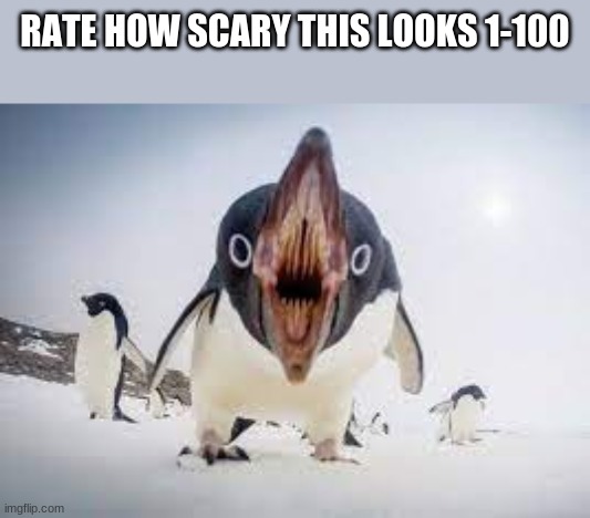 Looks like something out of a horror story | RATE HOW SCARY THIS LOOKS 1-100 | image tagged in you have angered pingu | made w/ Imgflip meme maker