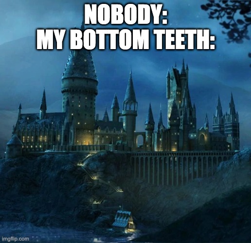  NOBODY:
MY BOTTOM TEETH: | image tagged in hogwarts,harry potter,teeth,sharp,messed up | made w/ Imgflip meme maker