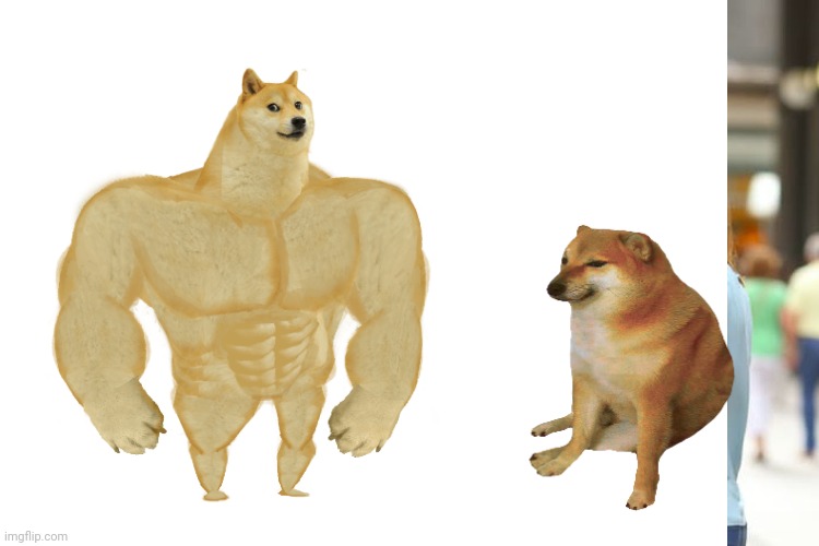 image tagged in buff doge vs cheems | made w/ Imgflip meme maker