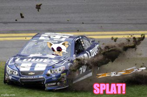 Rouge.exe tries out for NASCAR! | SPLAT! | image tagged in nascar drivers,nascar,rougeexe,roadkill,sonic the hedgehog,tails the fox | made w/ Imgflip meme maker