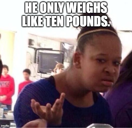 ..Or Nah? | HE ONLY WEIGHS LIKE TEN POUNDS. | image tagged in or nah | made w/ Imgflip meme maker