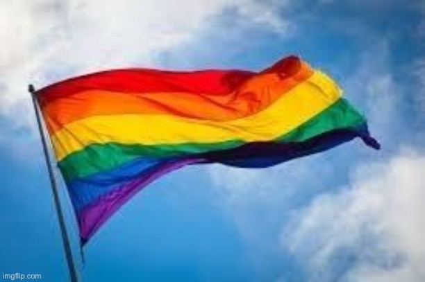 High Quality gay flag Blank Meme Template