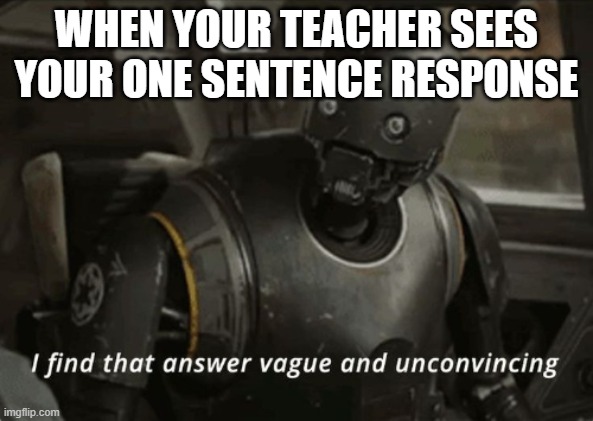 I find that answer vague and unconvincing | WHEN YOUR TEACHER SEES YOUR ONE SENTENCE RESPONSE | image tagged in i find that answer vague and unconvincing | made w/ Imgflip meme maker