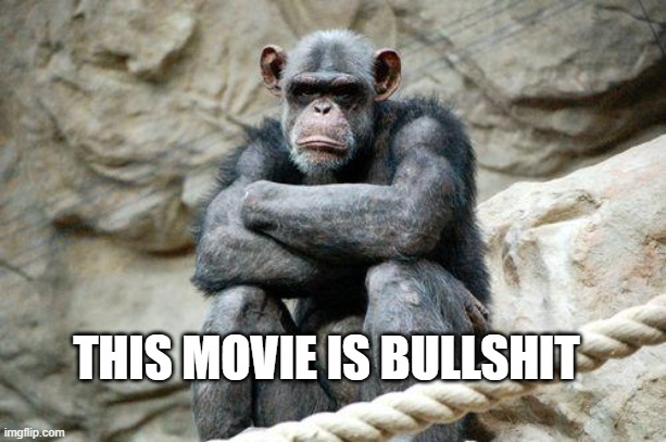 Angry Monkey | THIS MOVIE IS BULLSHIT | image tagged in angry monkey | made w/ Imgflip meme maker