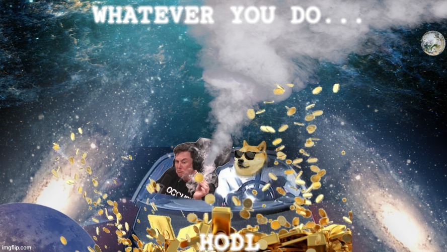 SNL HODL | WHATEVER YOU DO... HODL | image tagged in elon musk smoking a joint,doge,space,spacex,dogecoin,saturday night live | made w/ Imgflip meme maker