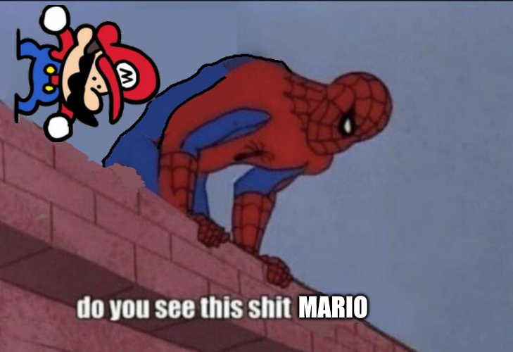 Do You See This Shit Mario Blank Meme Template
