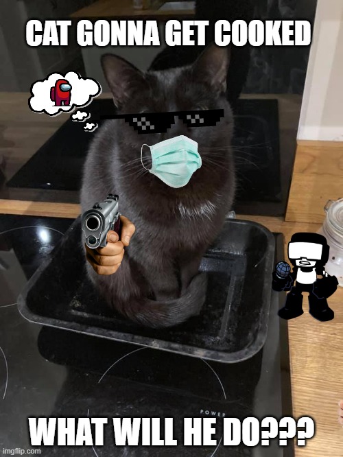 CAT GONNA GET COOKED WHAAA | CAT GONNA GET COOKED; WHAT WILL HE DO??? | image tagged in cooking,cat,fun,funny animals,amogus,uk covid strain | made w/ Imgflip meme maker