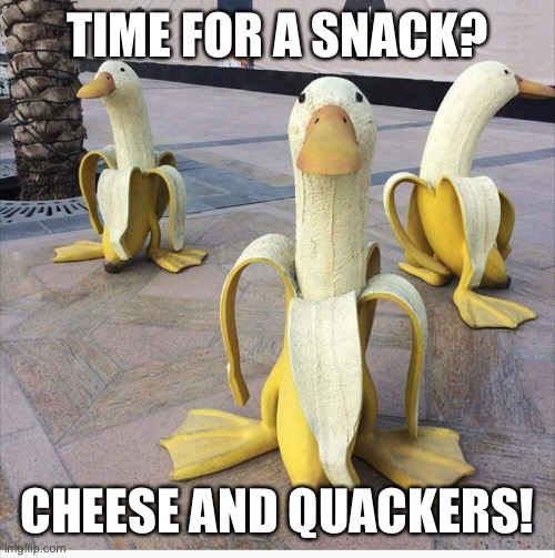 Quackers |  TIME FOR A SNACK? CHEESE AND QUACKERS! | image tagged in puns,bad pun | made w/ Imgflip meme maker