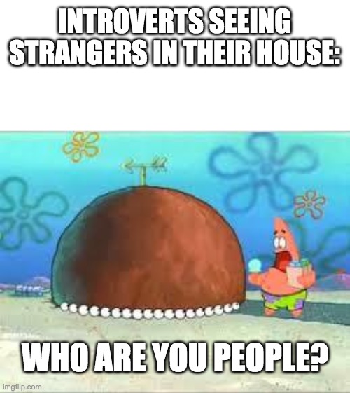 WHO ARE YOU PEOPLE? | INTROVERTS SEEING STRANGERS IN THEIR HOUSE:; WHO ARE YOU PEOPLE? | image tagged in who are you people | made w/ Imgflip meme maker