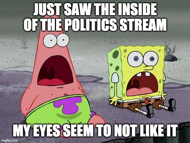 SpongeBob shocked | JUST SAW THE INSIDE OF THE POLITICS STREAM; MY EYES SEEM TO NOT LIKE IT | image tagged in spongebob shocked | made w/ Imgflip meme maker