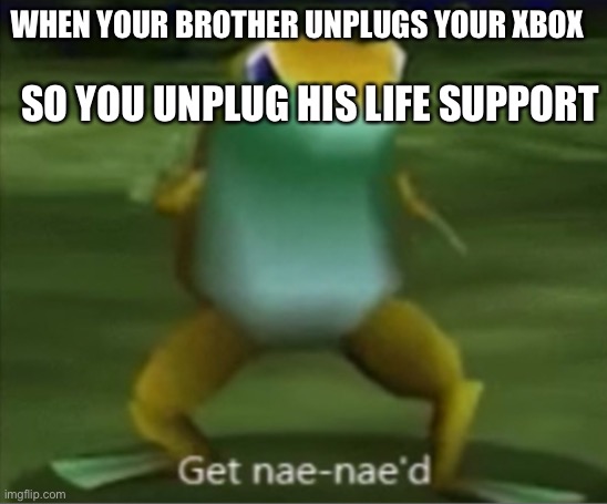 Y e s | SO YOU UNPLUG HIS LIFE SUPPORT; WHEN YOUR BROTHER UNPLUGS YOUR XBOX | image tagged in get nae nae d frog | made w/ Imgflip meme maker