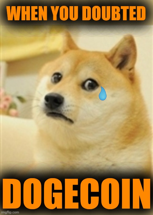 Sad Doge | WHEN YOU DOUBTED; DOGECOIN | image tagged in sad doge | made w/ Imgflip meme maker