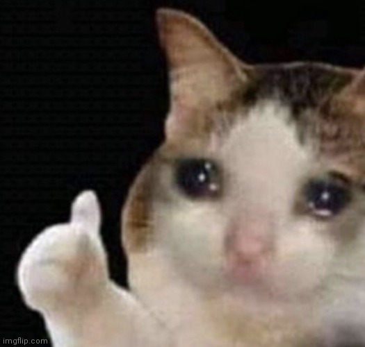 cat cry | image tagged in cat cry | made w/ Imgflip meme maker